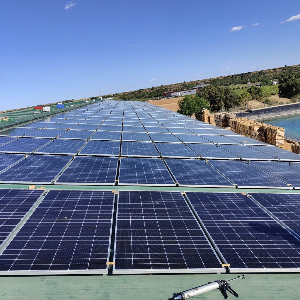 Paneles solares en agricultura de cebollas